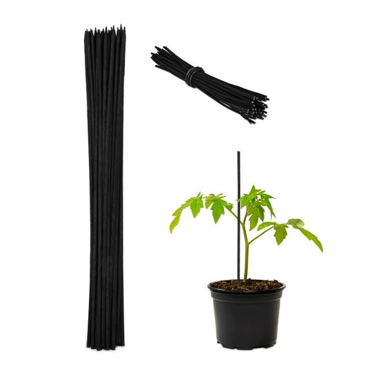 Flower sticks 30 cm in sets of 50