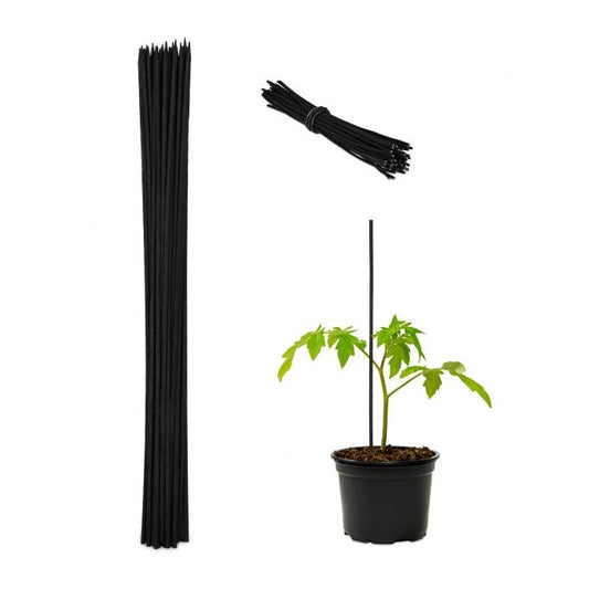Flower sticks 60 cm in sets of 50