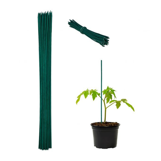 Flower sticks 60 cm in sets of 50