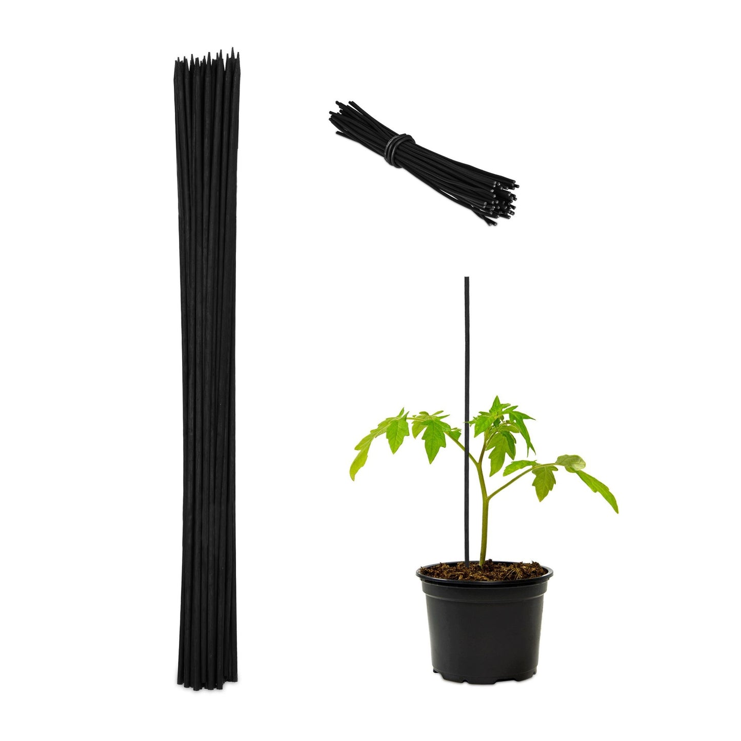 Flower sticks 60 cm in sets of 50
