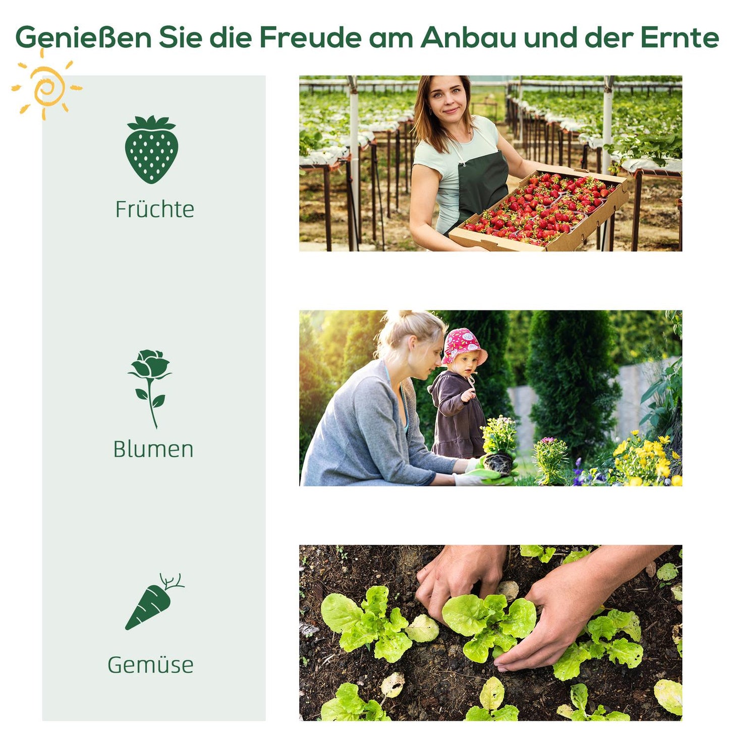 Mini greenhouse with 4 shelves, metal, 80x49x160CM