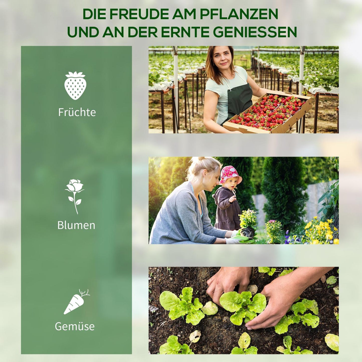 Greenhouse Cold frame with raised bed, 2 windows, 70x70x90cm