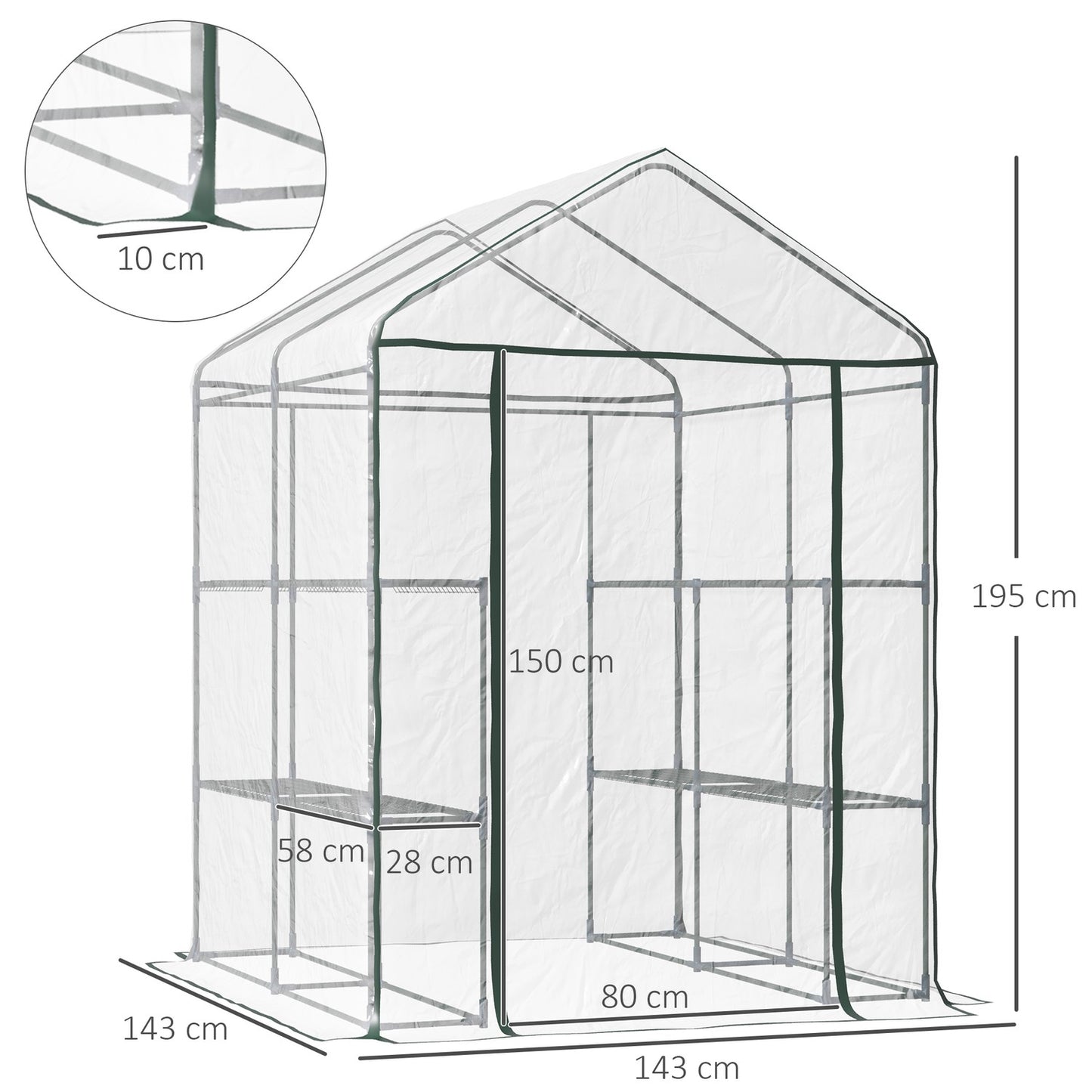 Walk-In greenhouse with shelves - Steel PVC frame