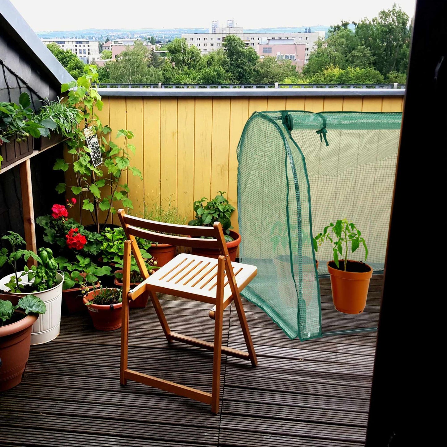 Foiled greenhouse with door