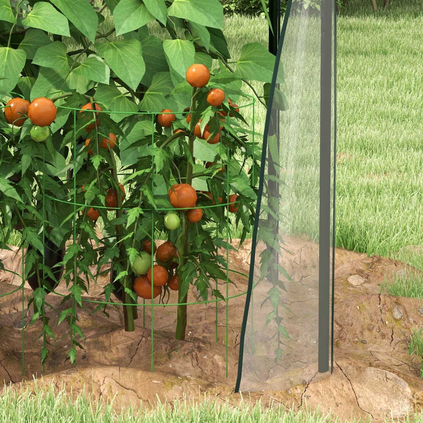 Transparent windproof greenhouse for garden, 90x90x145 cm