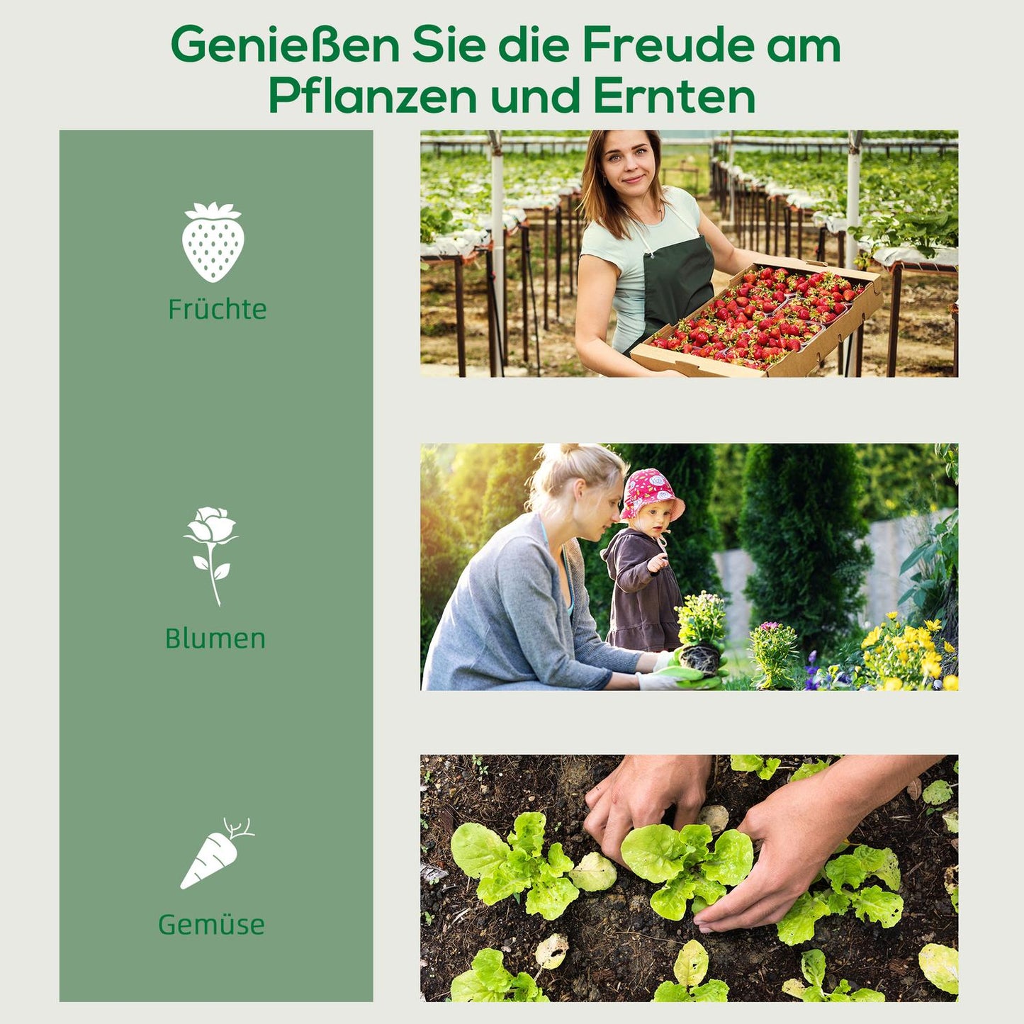 Greenhouse with 4 shelves, Steel frame, 69x50x165 cm