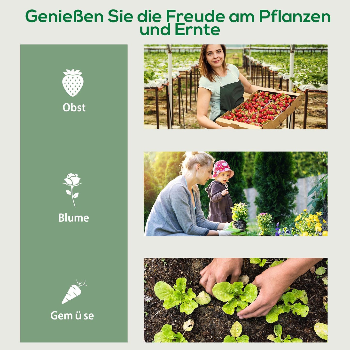 Foil greenhouse with roller and 4 shelves, steel frame, 69x50x165 cm