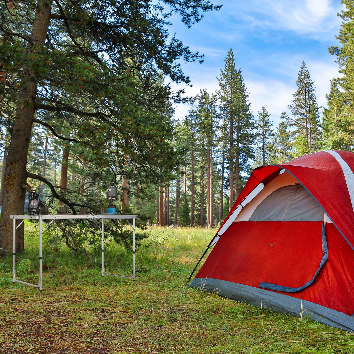 Foldable Camping Table