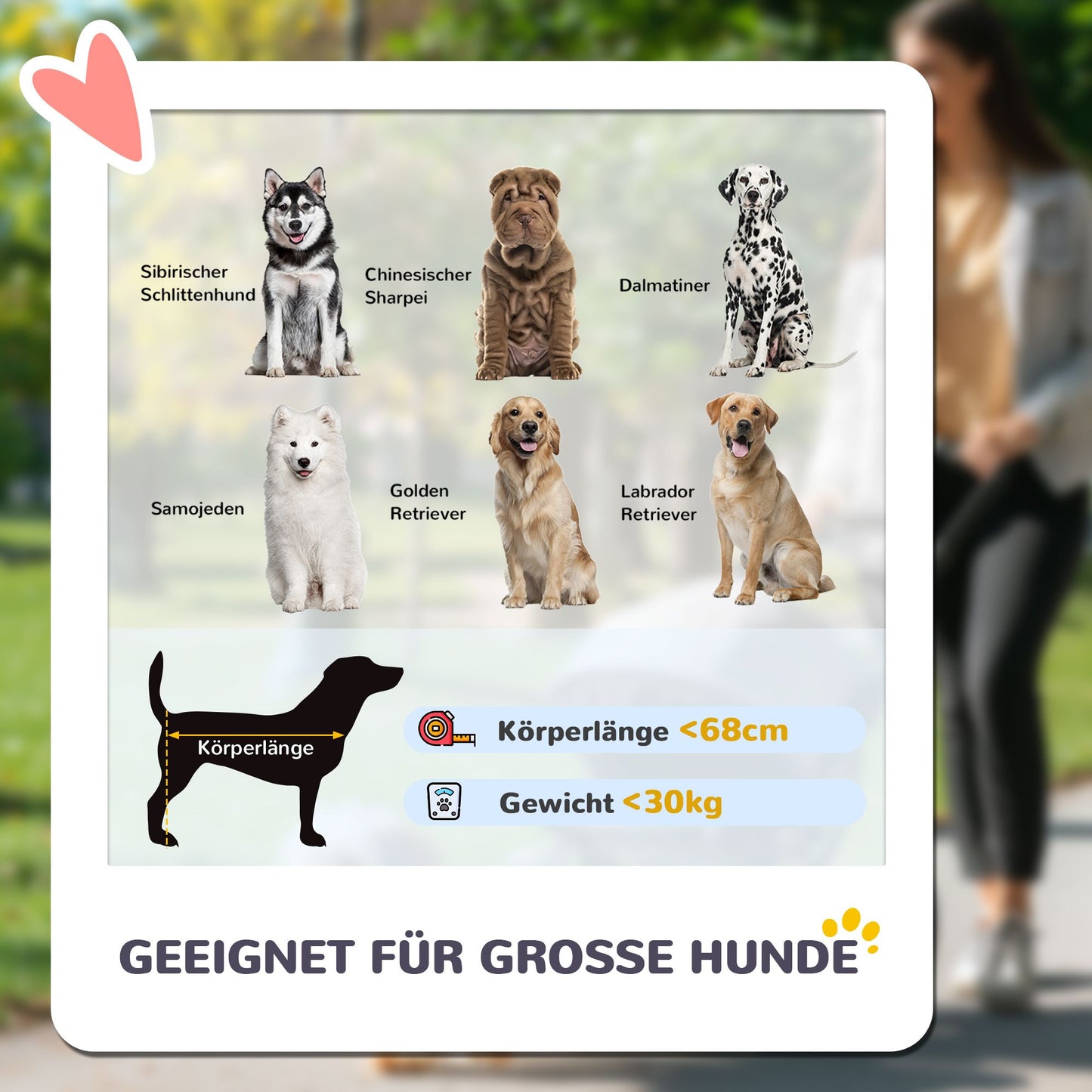 Foldable Dog Stroller for Large Dogs, 4 Wheels, Safety Leash, Brown