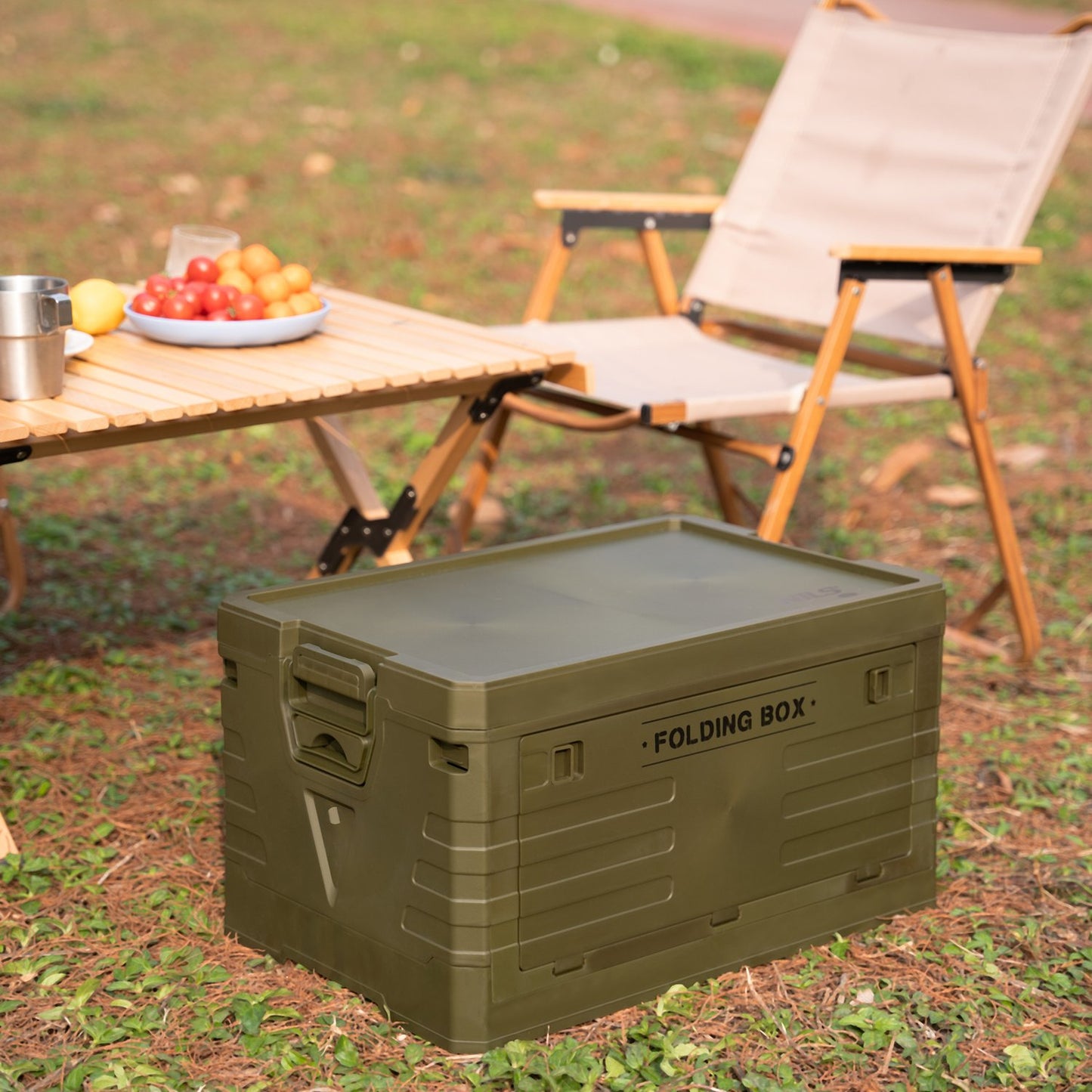 Folding Camping Box with Lid, Green, 50L Capacity