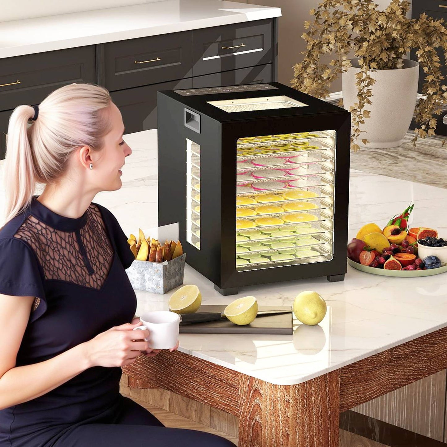 Food Dehydrator, 850W, 12 Stainless Steel Trays, Timer