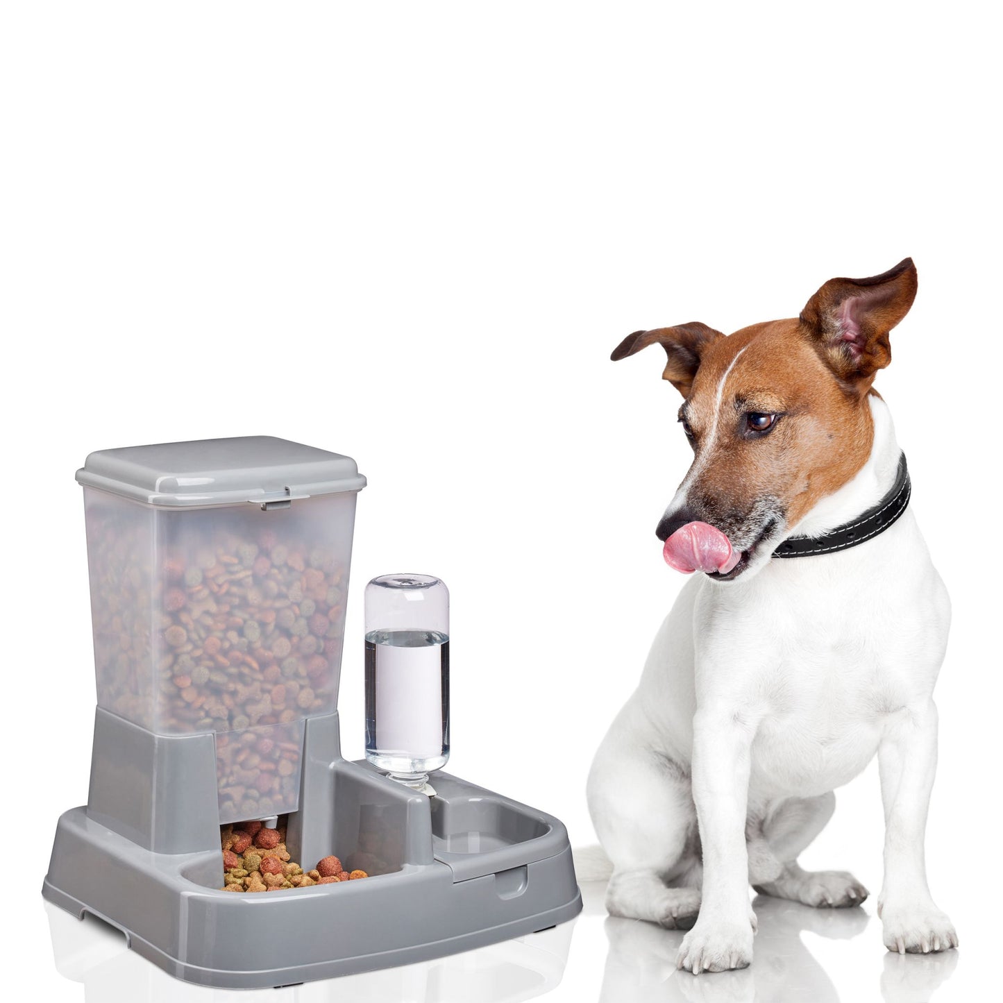 Food and water dispenser