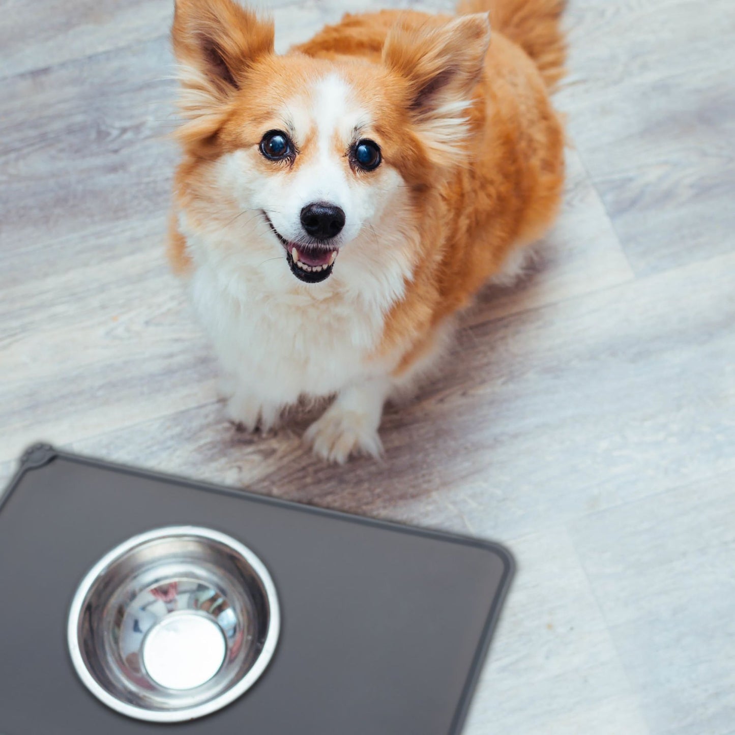 Food bowl coasters in silicone