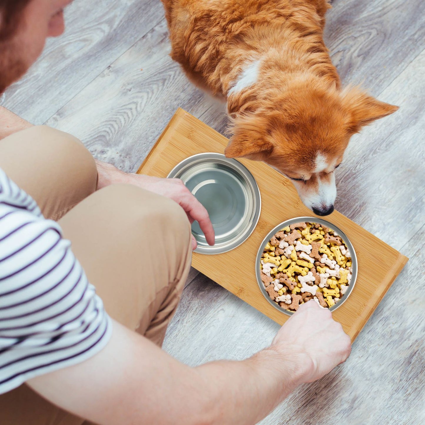 Food bowls for dogs