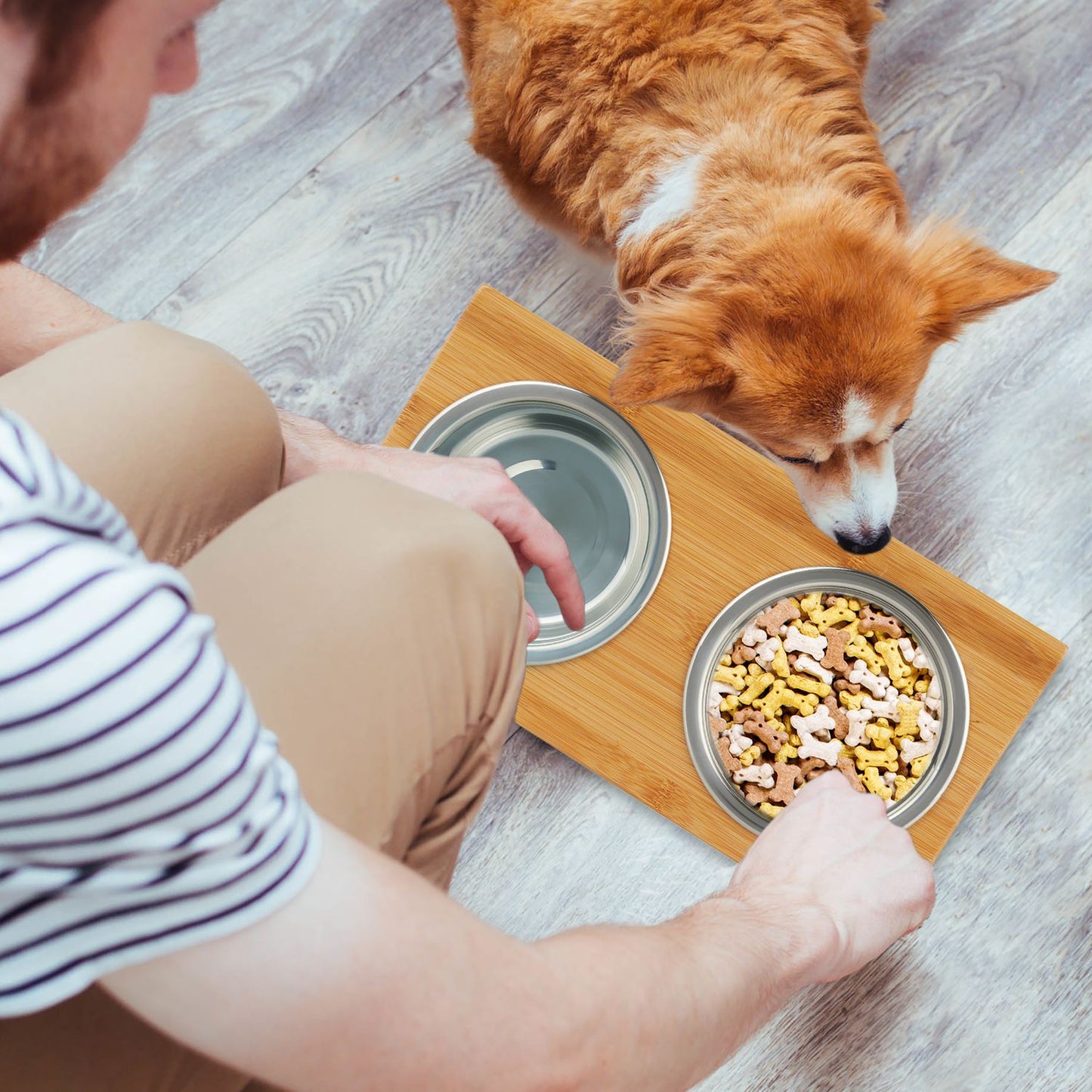 Food bowls for dogs