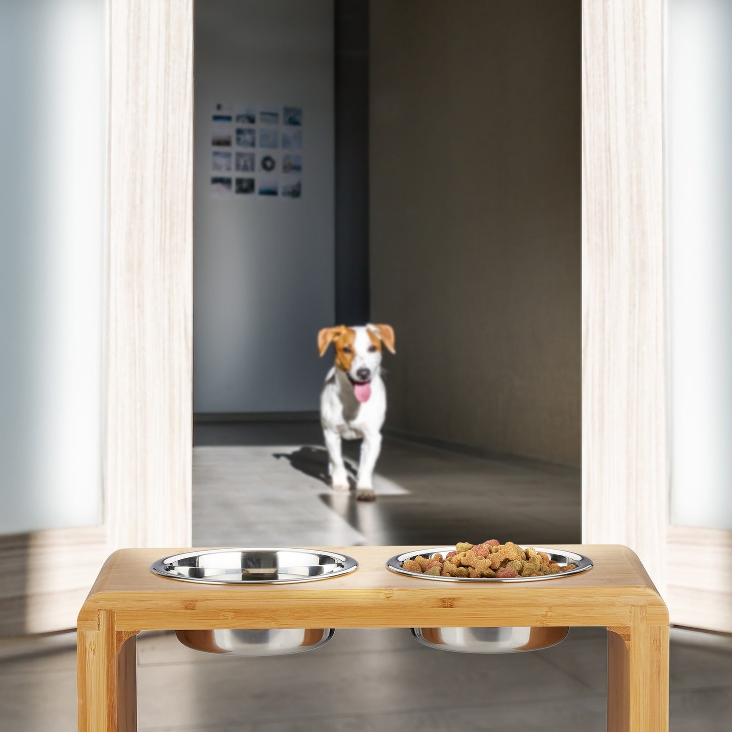 Food bowls for dogs