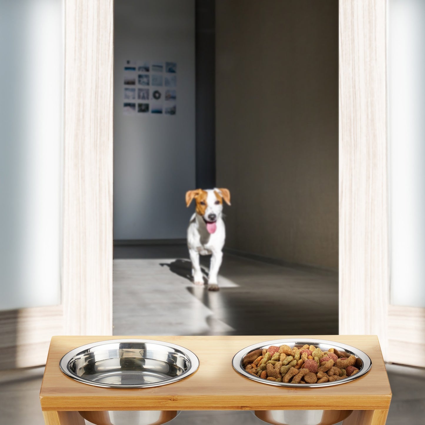 Food bowls for dogs