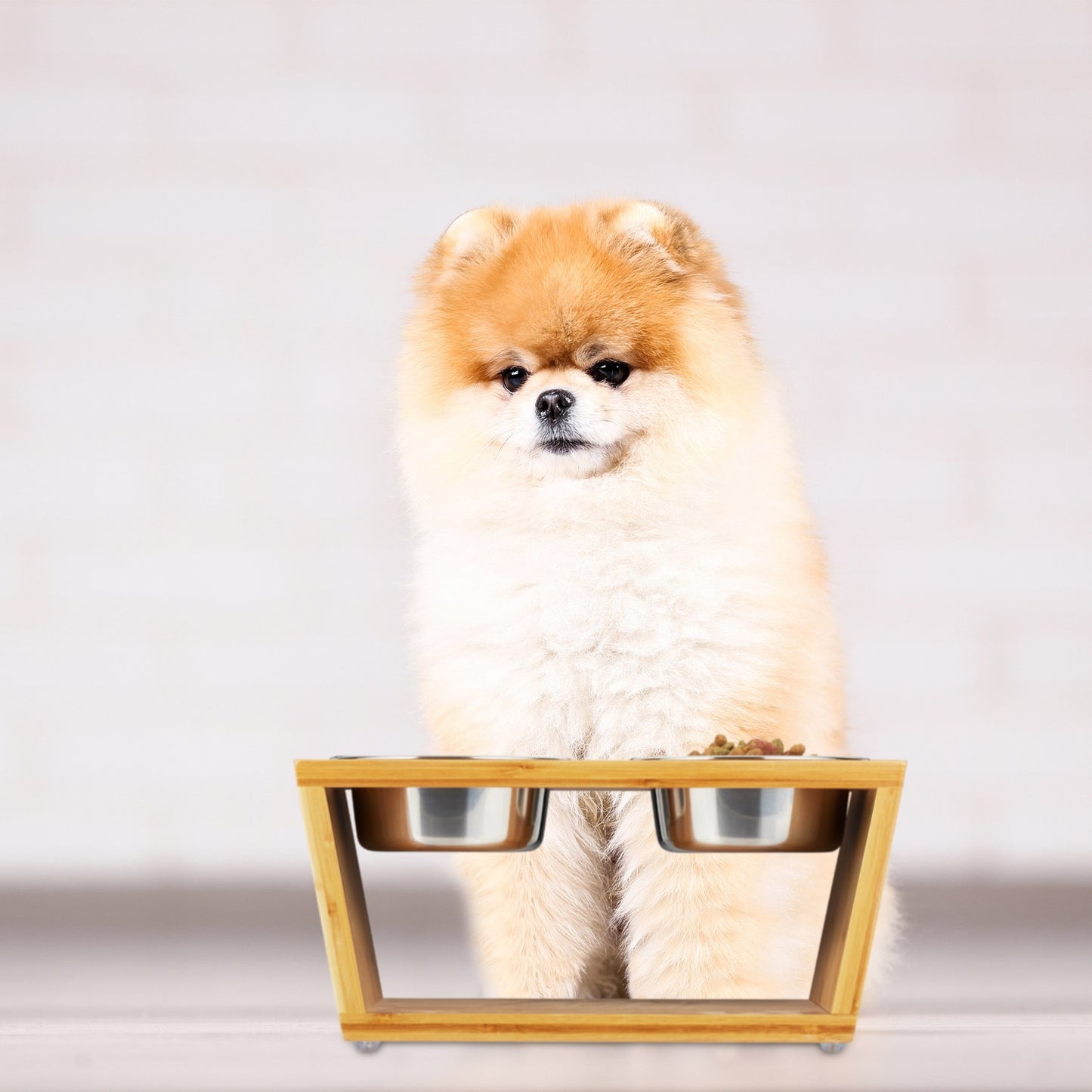 Food bowls for dogs