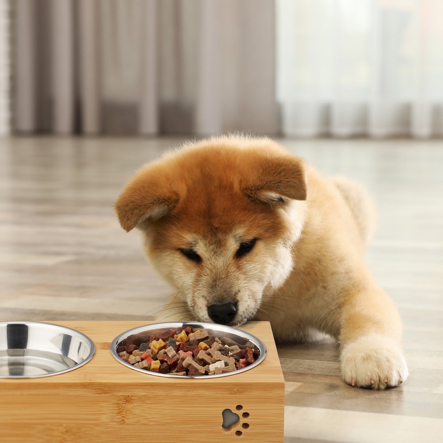 Food bowls for dogs