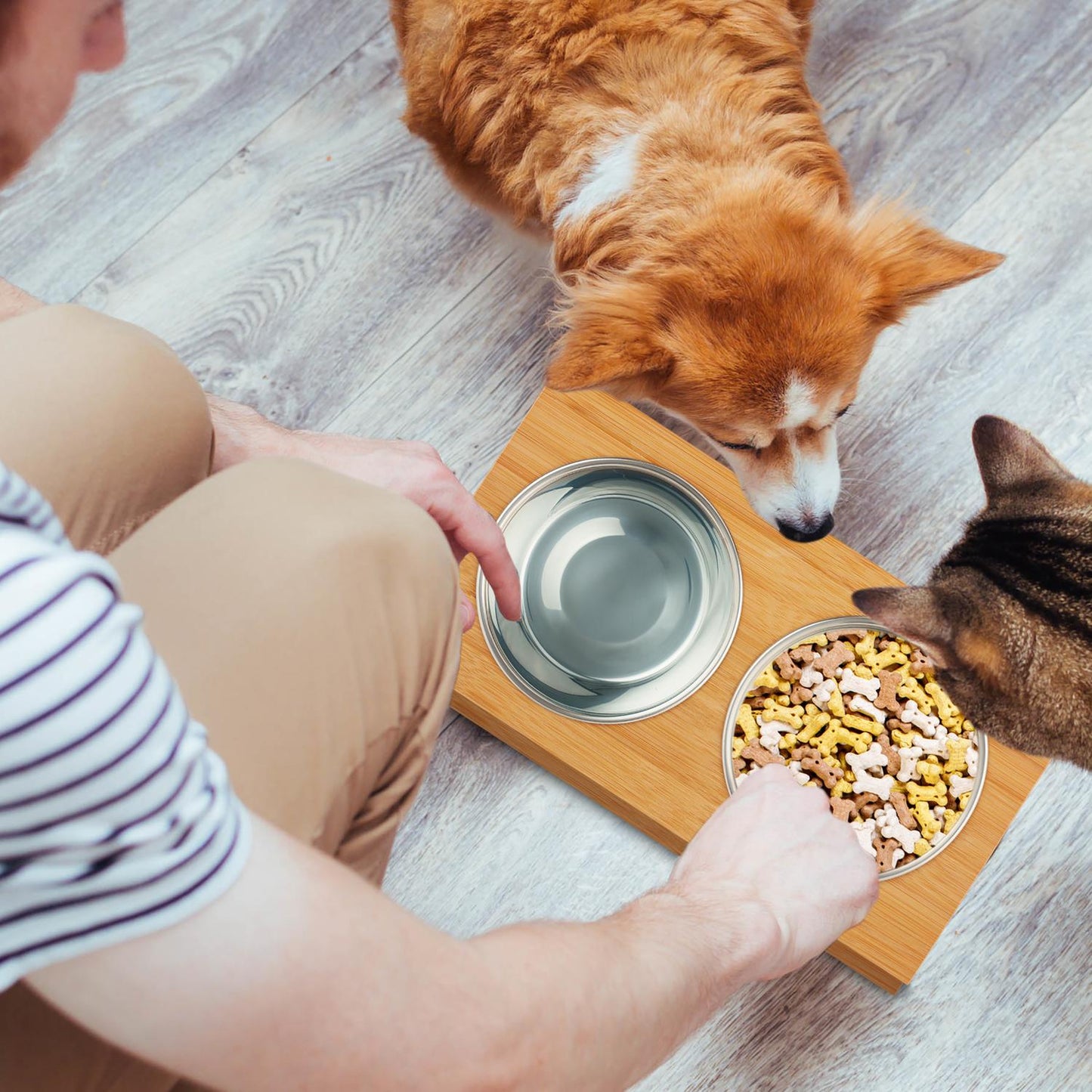 Food bowls in different designs