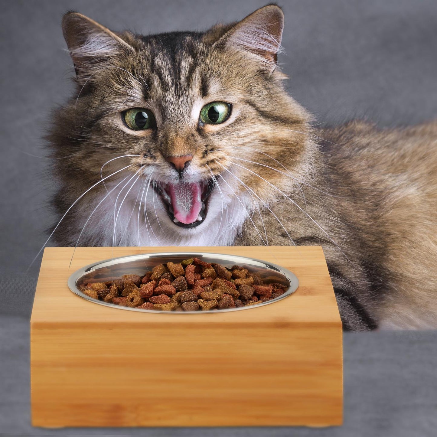Food bowls in different designs