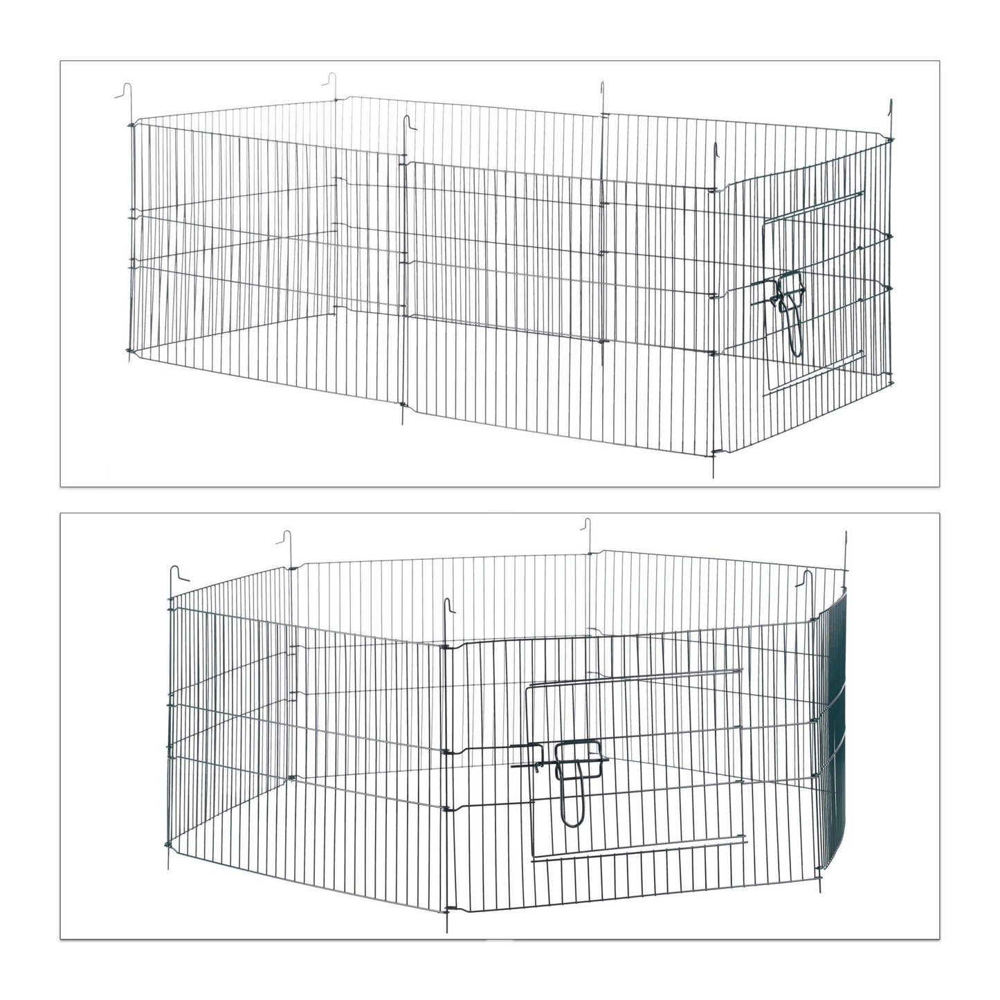 Free range fenced with netting