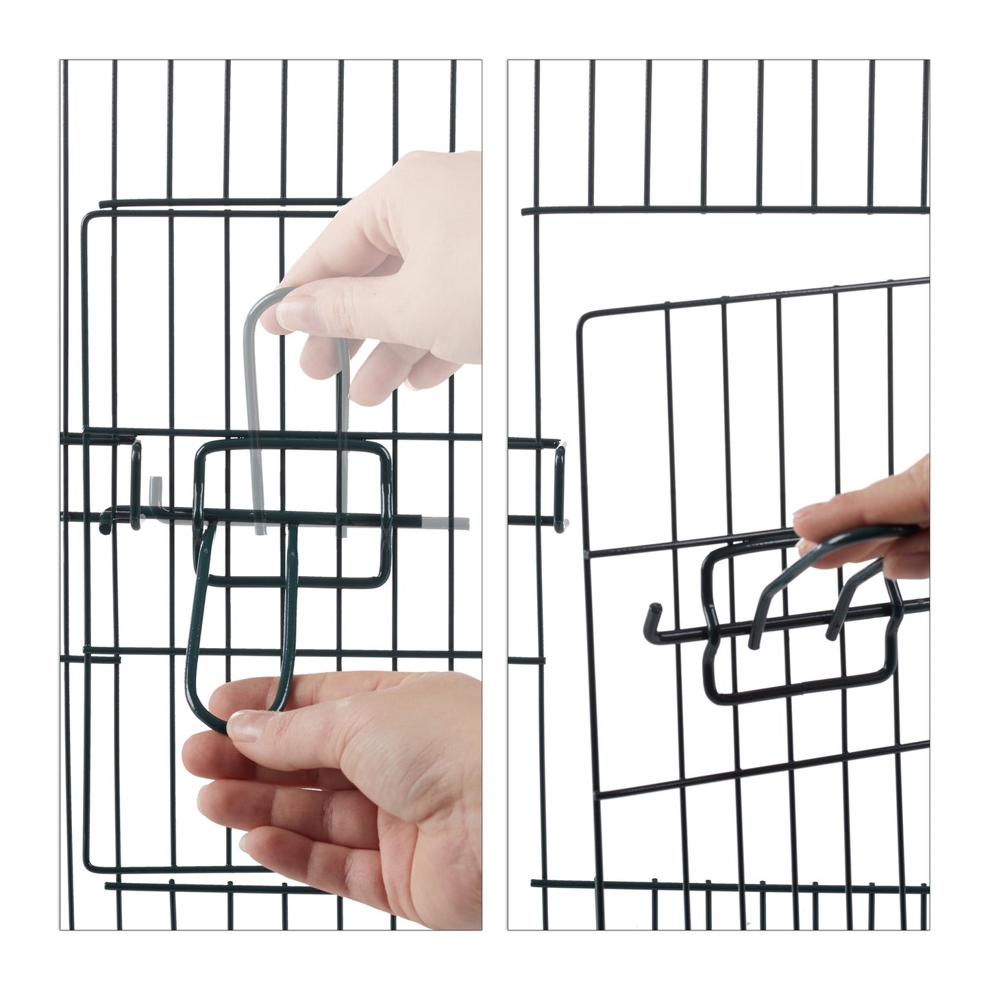Free range fenced with netting