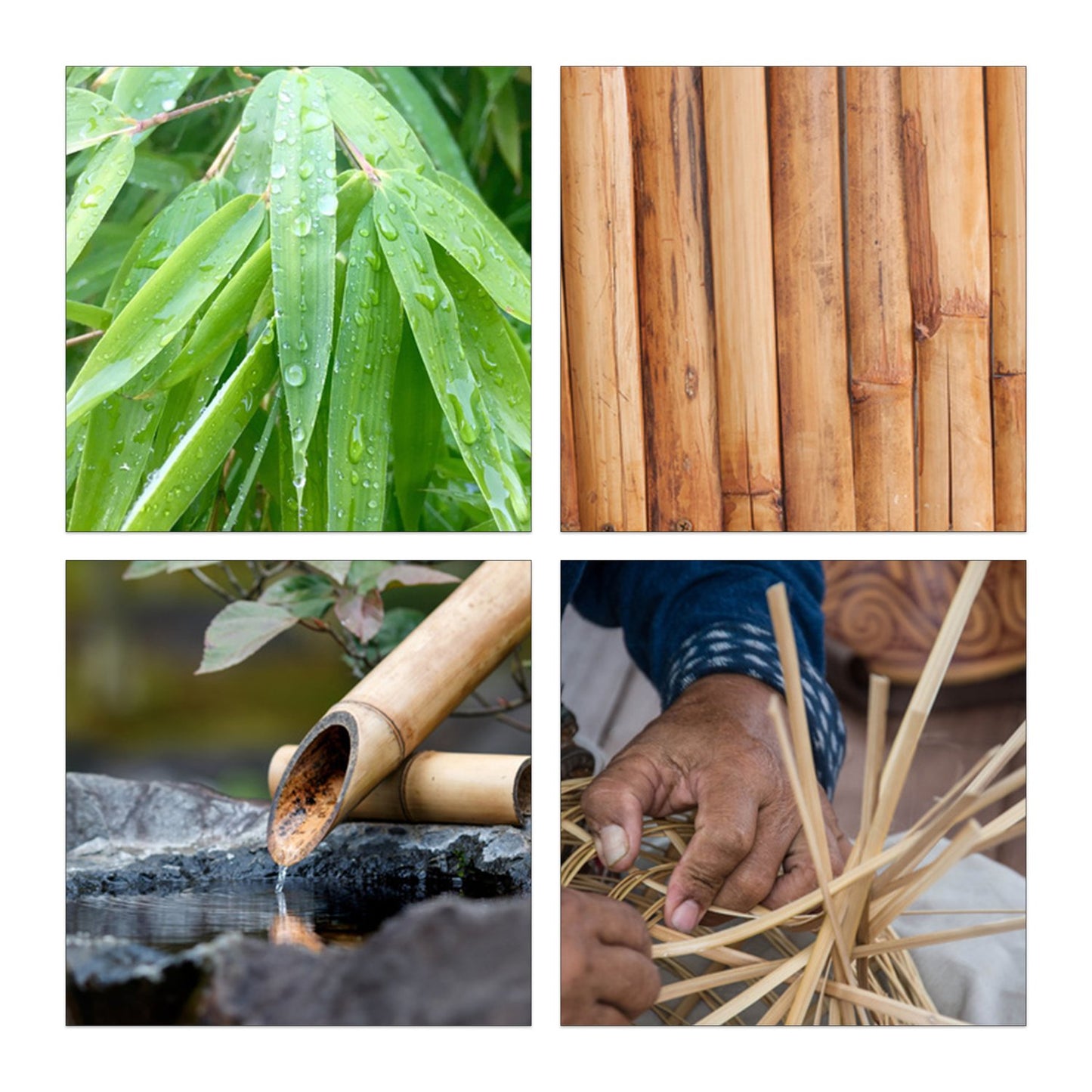 Fruit Basket Bamboo Stainless Steel