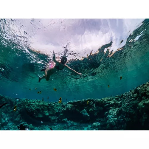 Full face snorkeling mask S/M part 23469