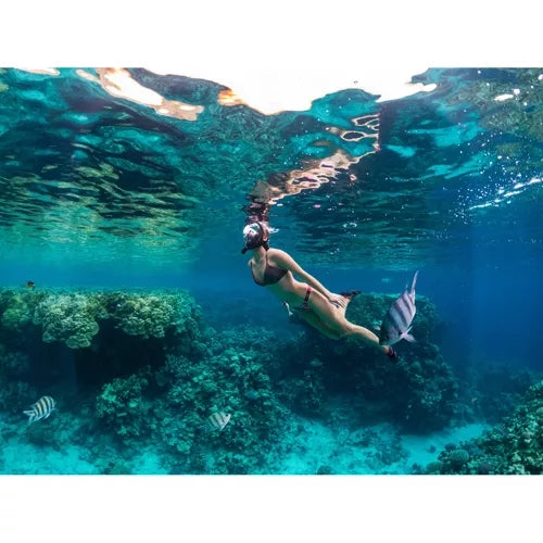 Full face snorkeling mask S/M part 23469