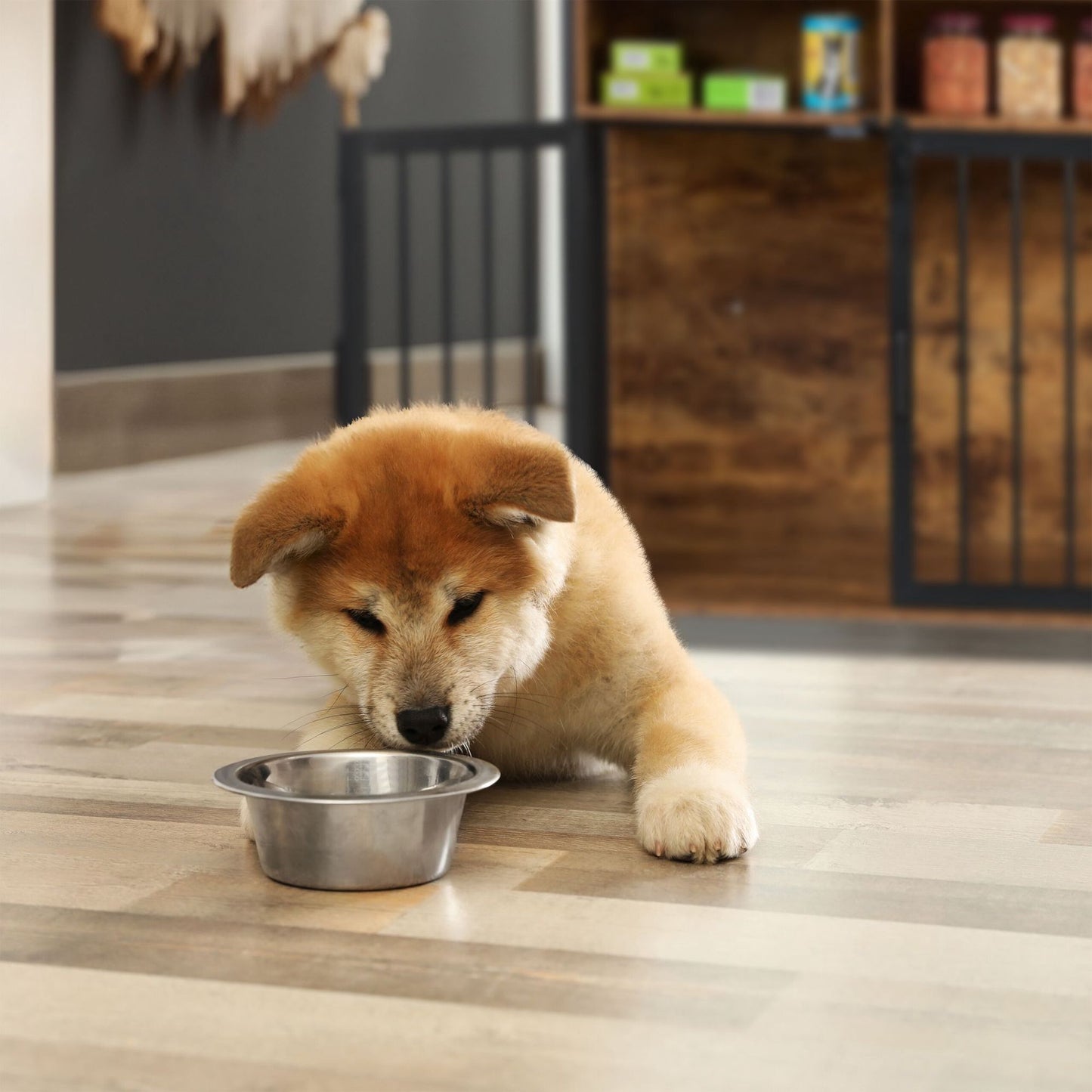 Furniture-style dog cage