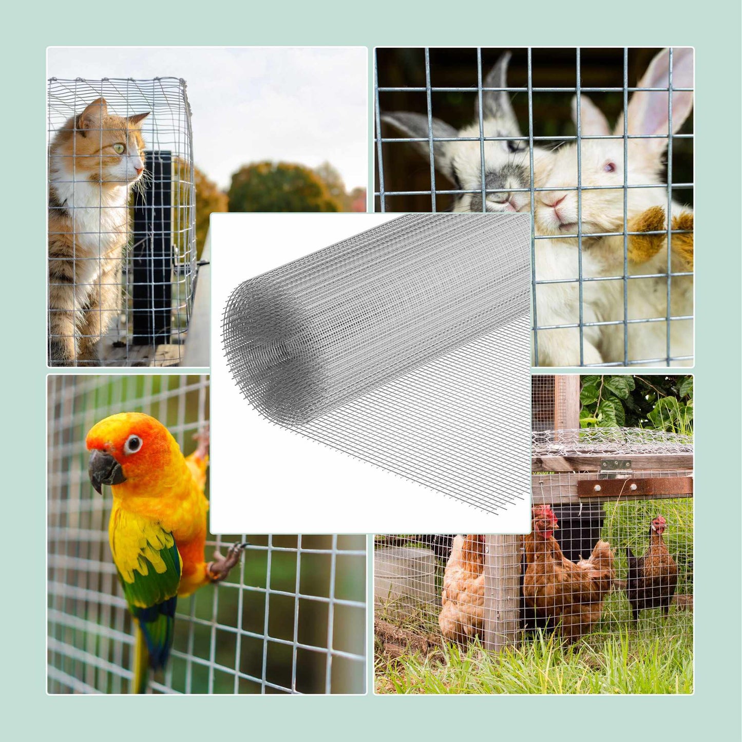 Galvanised Aviary Mesh, 6.3 x 6.3 mm, Weather-Resistant