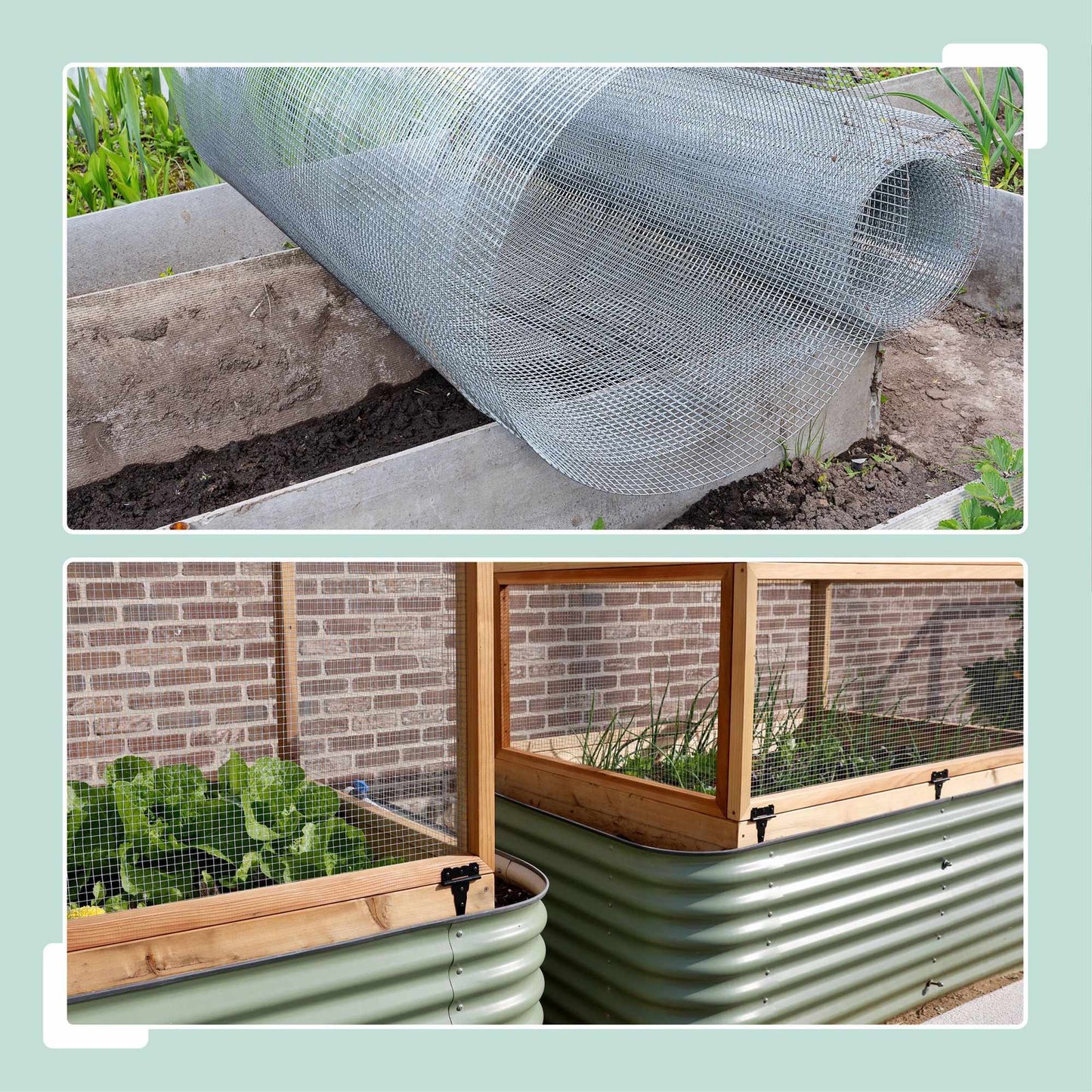 Galvanised Aviary Wire Mesh, 6.3 x 6.3 mm, Weather-Resistant