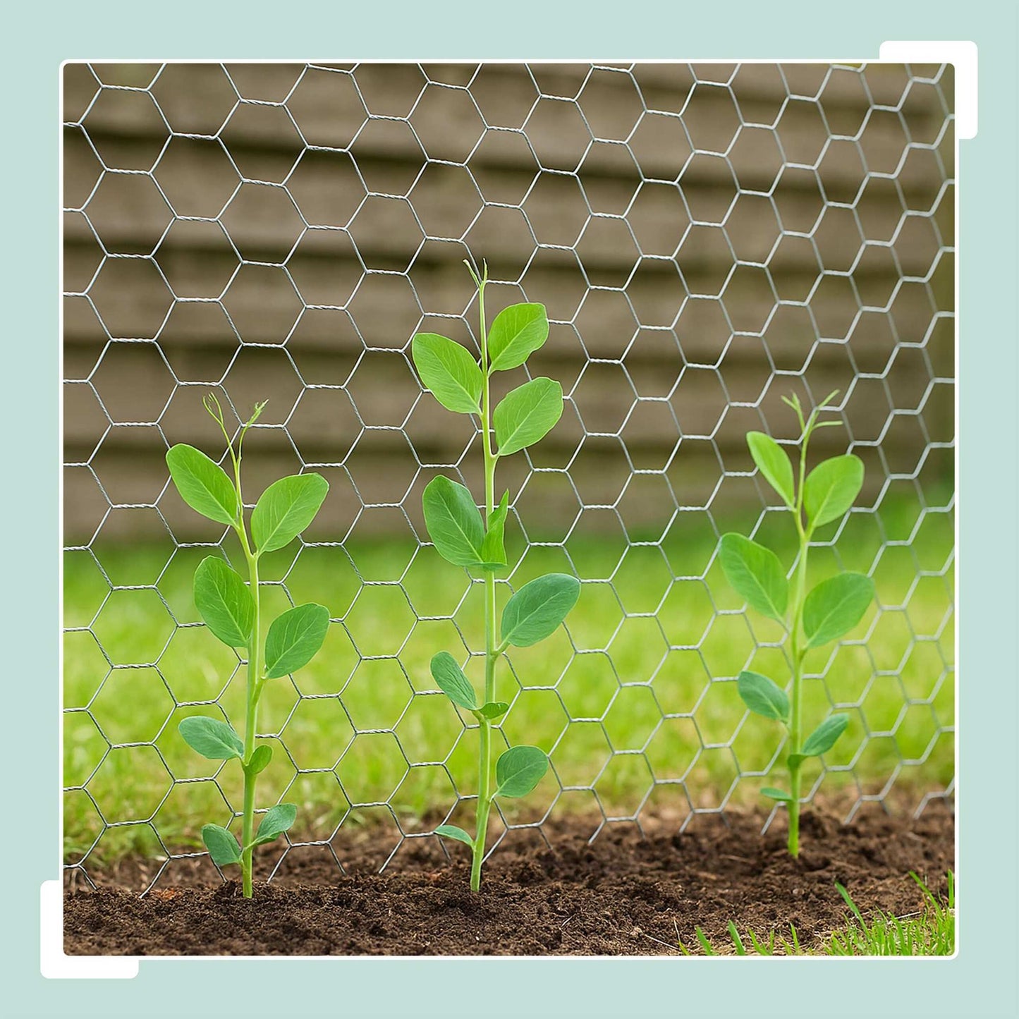 Galvanised Wire Mesh Fence, 15x25 mm, Cut to Size