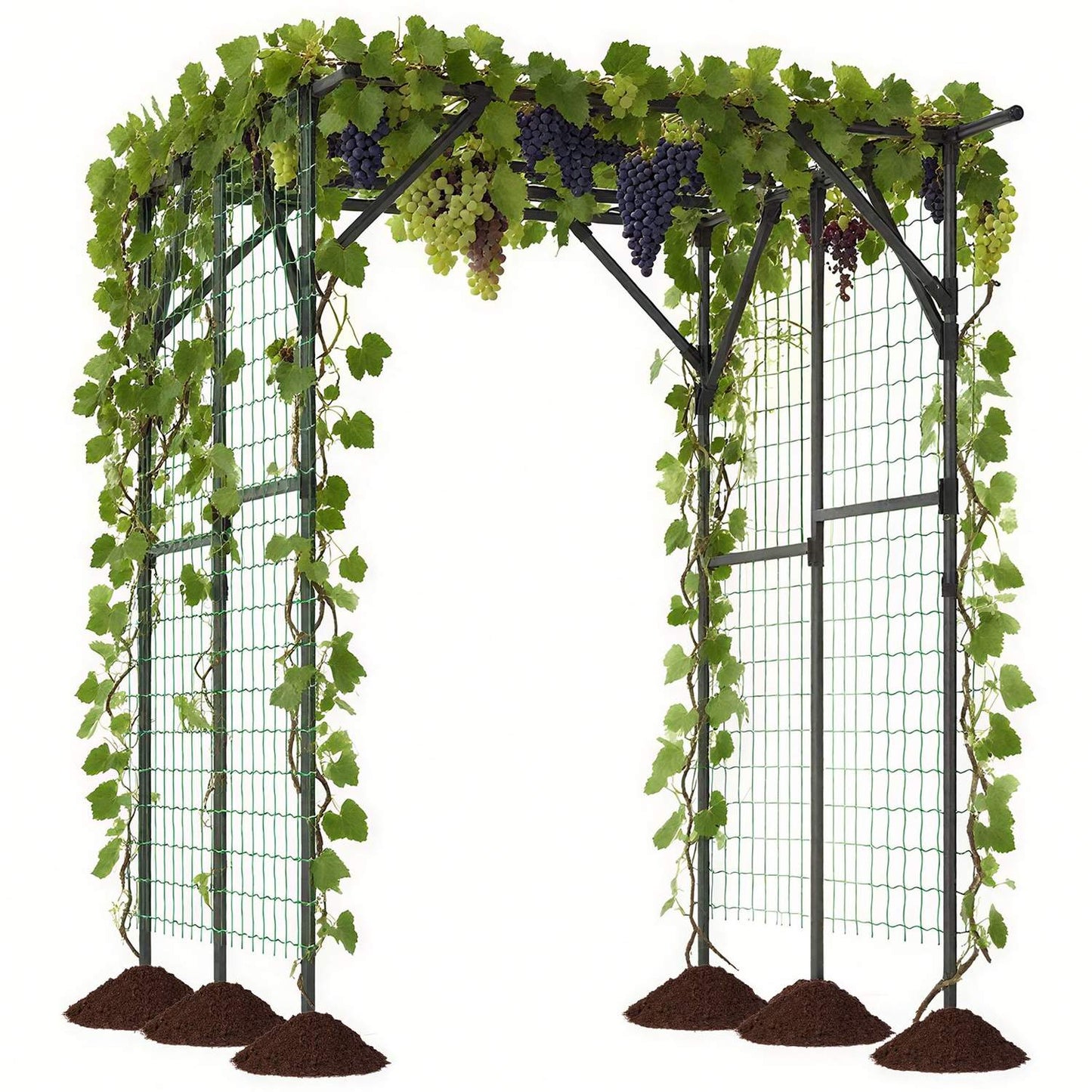 Garden Arch Trellis for Climbing Plants, 200x150x197 cm
