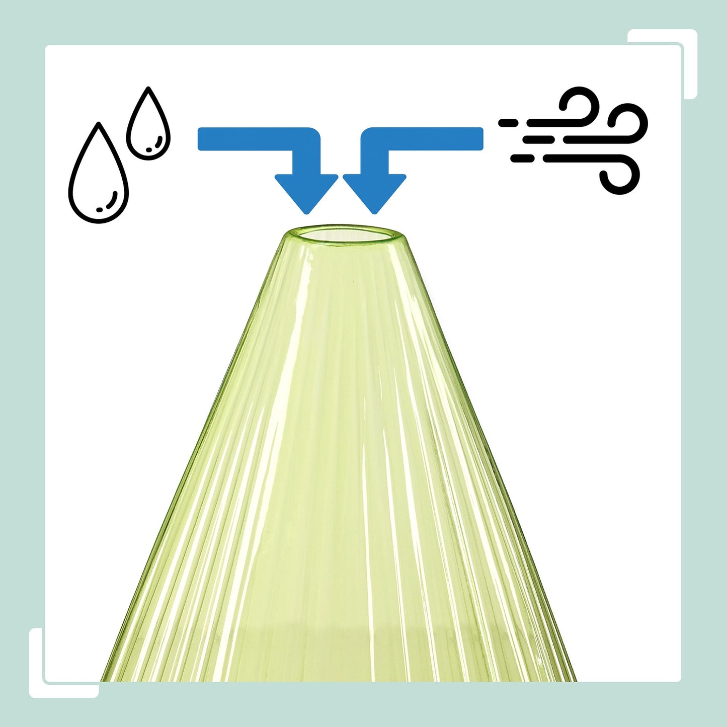 Garden Plant Cloches – Protect Seedlings from Pests