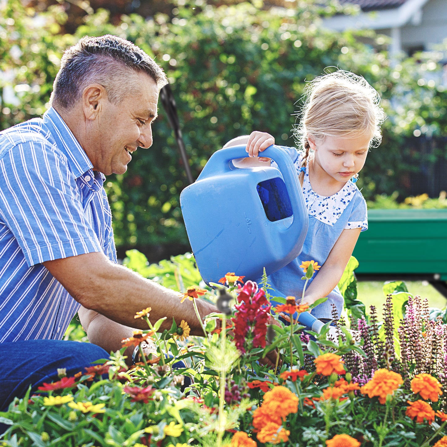 Garden Wheelbarrow