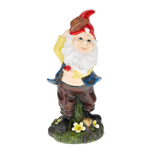Garden gnome with ladybug