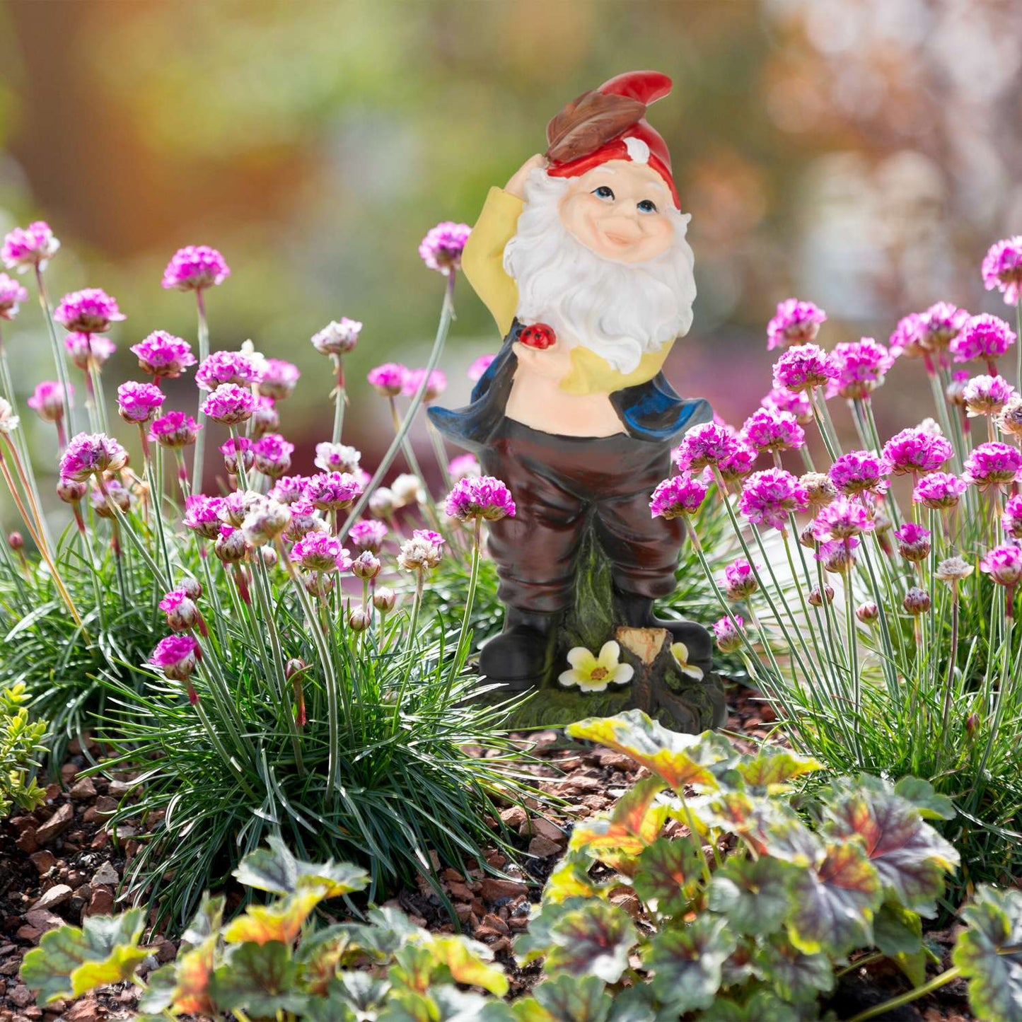 Garden gnome with ladybug