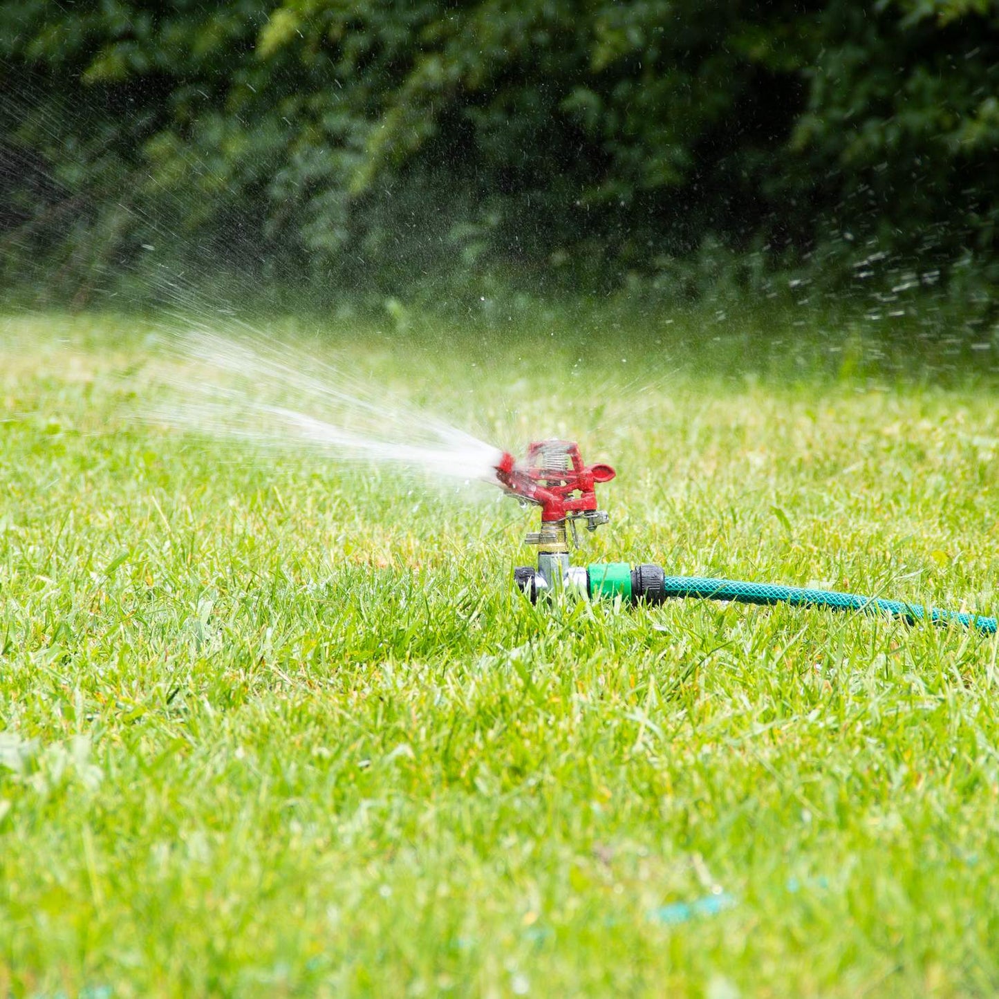 Garden sprinkler 12 m range