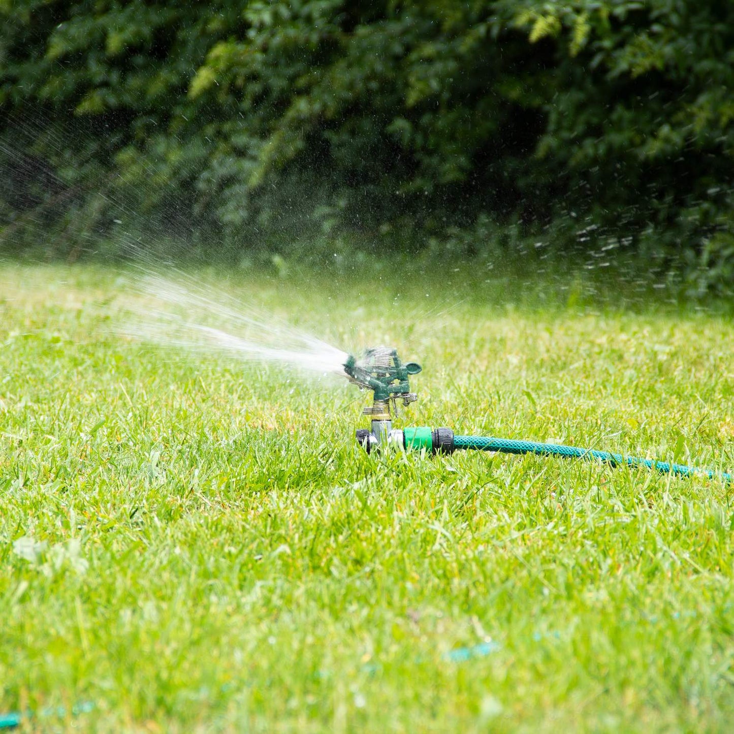 Garden sprinkler 12 m range