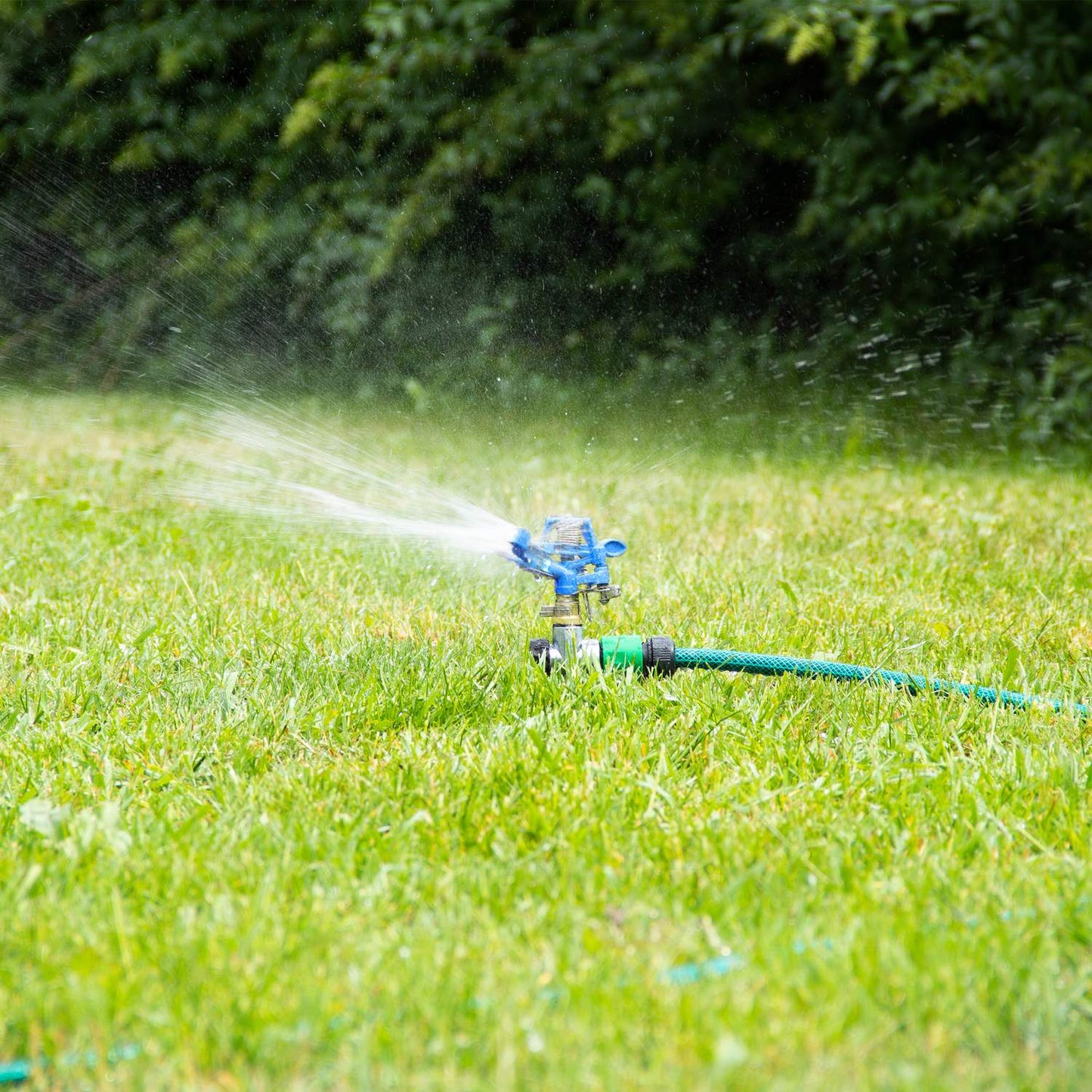 Garden sprinkler 12 m range