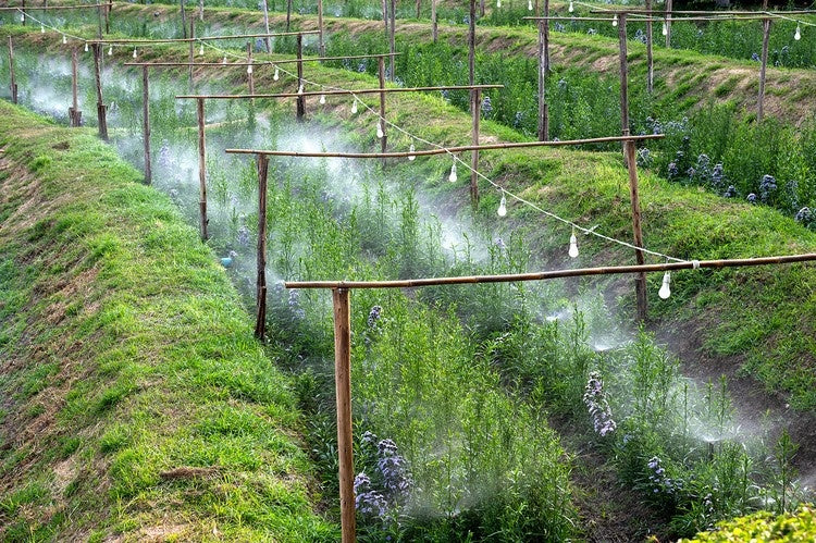 Garden sprinkler - water curtain 10m
