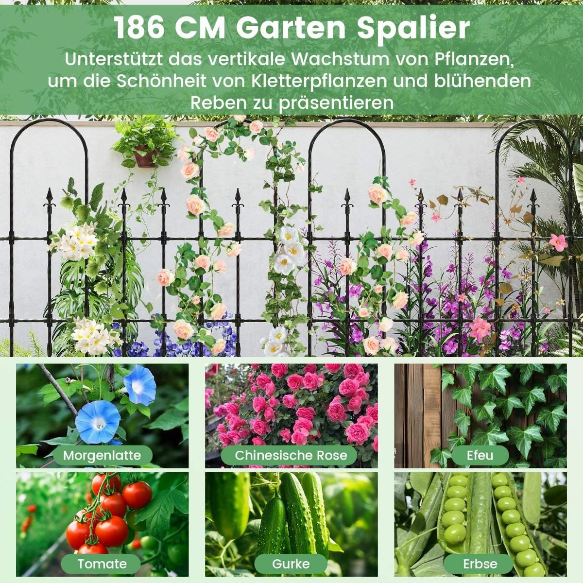 Garden trellis for climbing plants. Rustproof metal plant support frame for raised beds