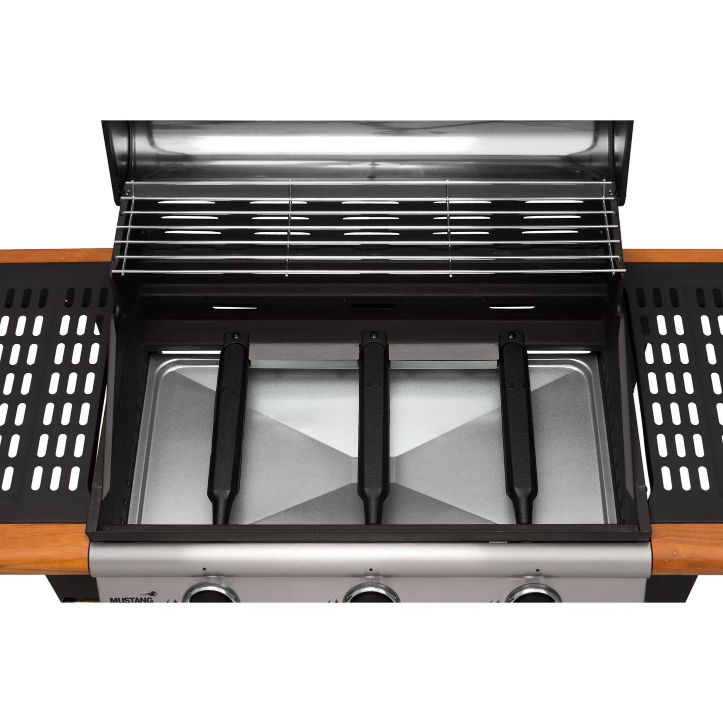 Gas grill Greenville 3