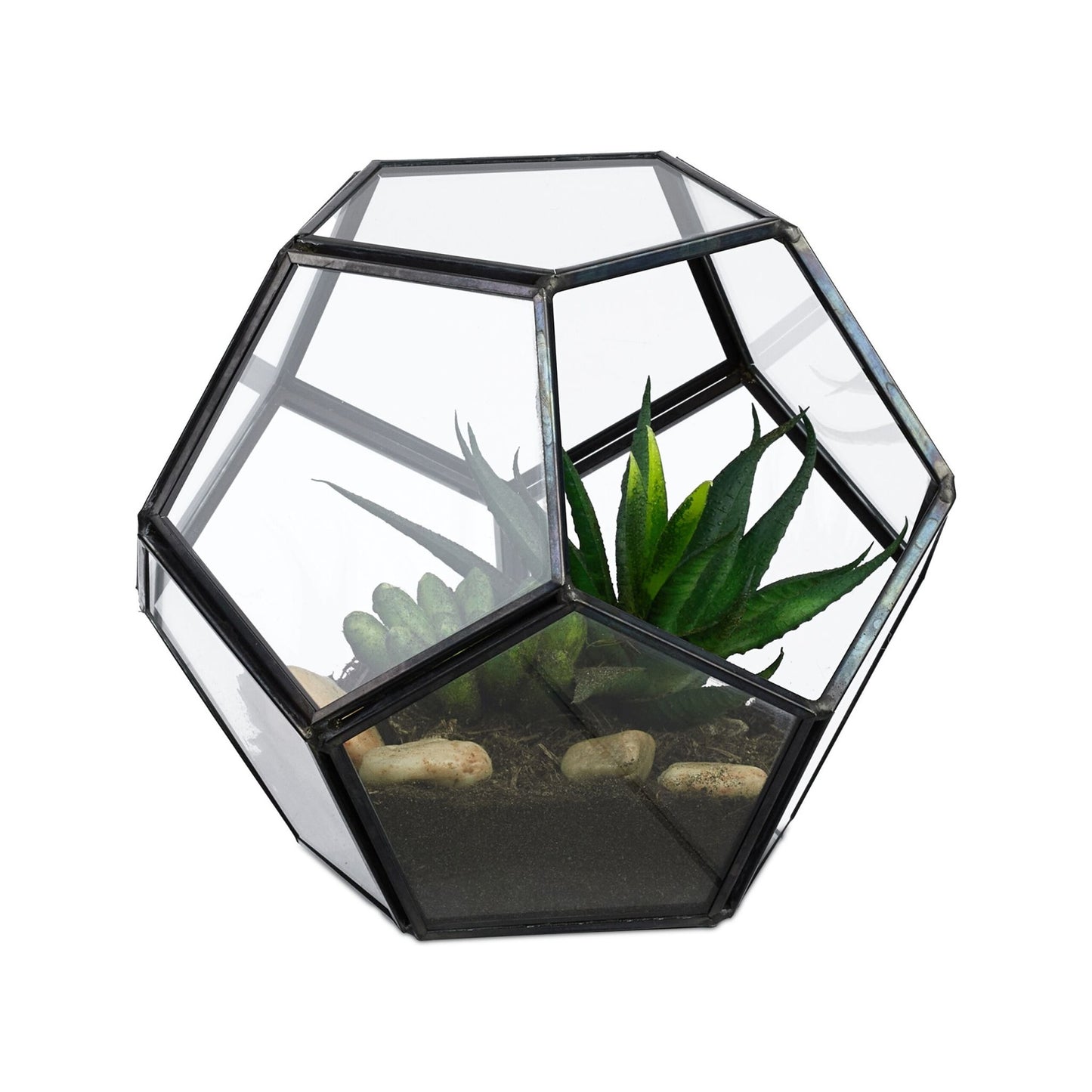 Geometric Glass Terrarium – Open Design for Indoor Plants