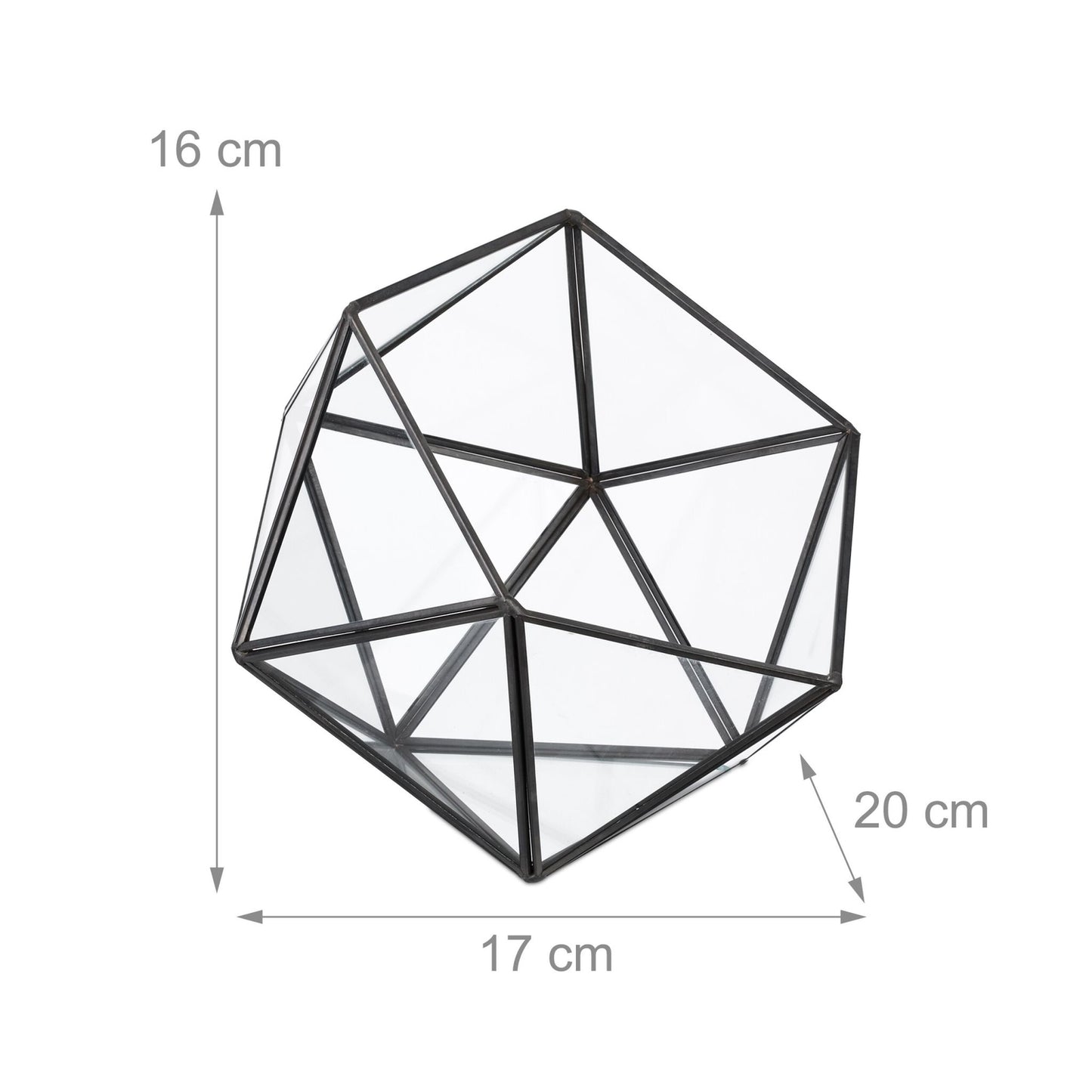 Geometric Glass Terrarium for Cacti and Succulents