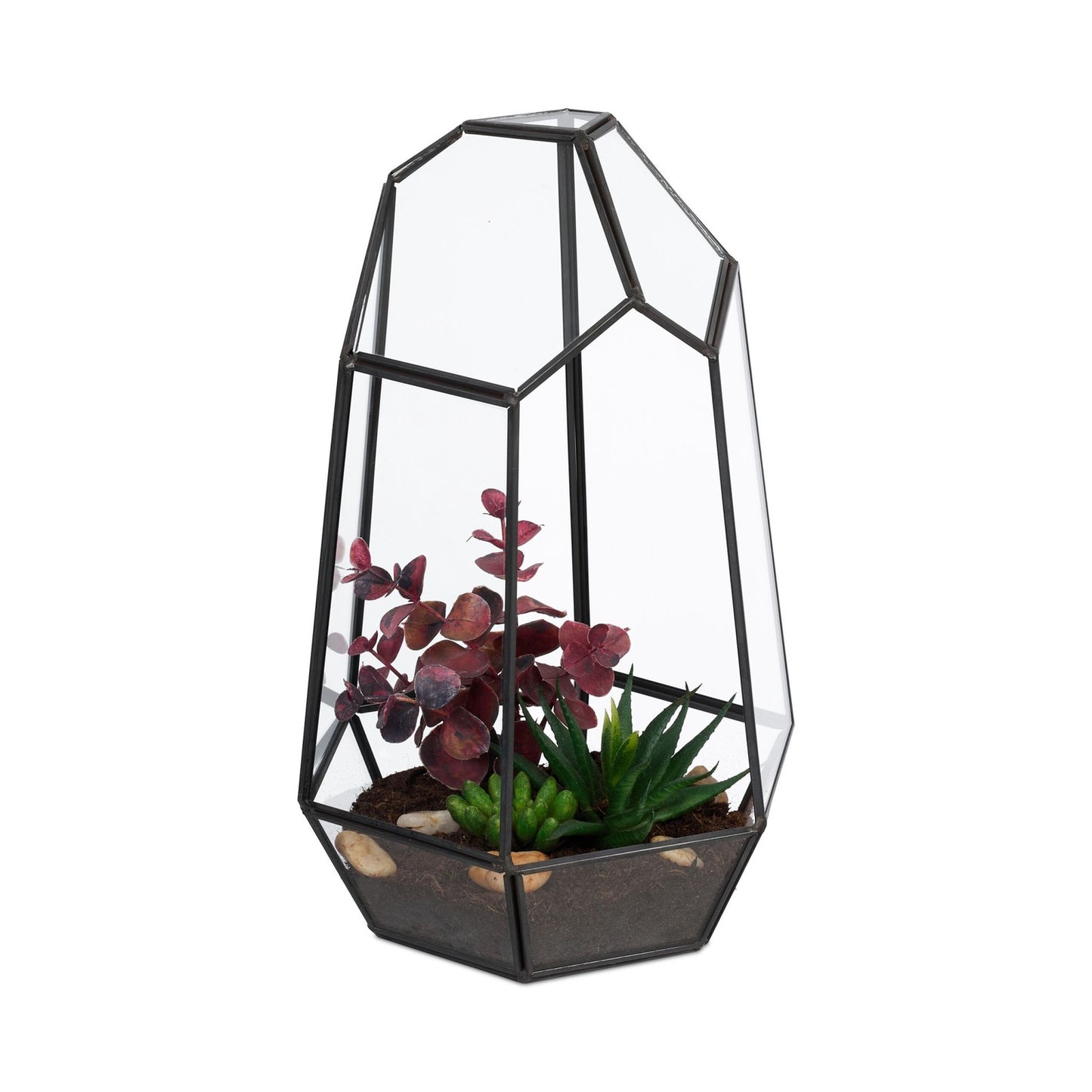 Geometric Glass Terrarium for Succulents, 25 cm