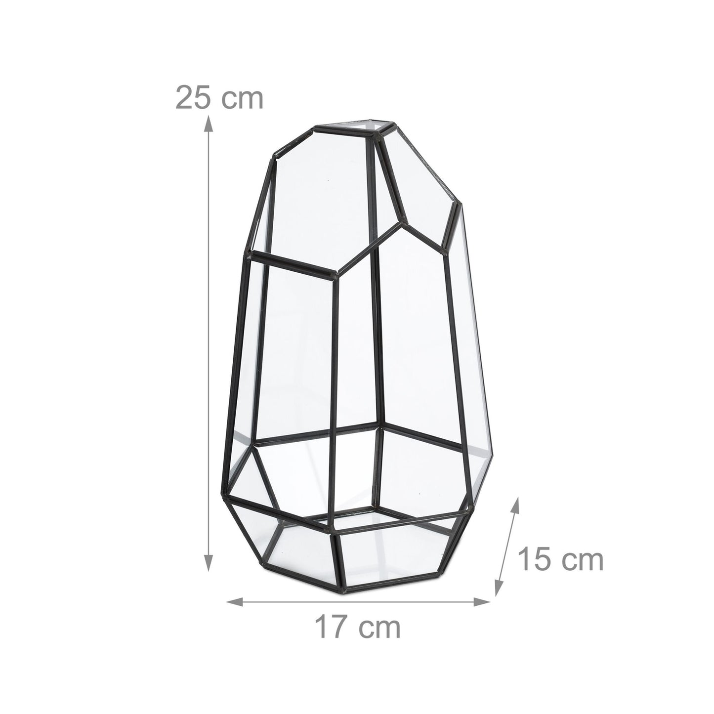 Geometric Glass Terrarium for Succulents, 25 cm