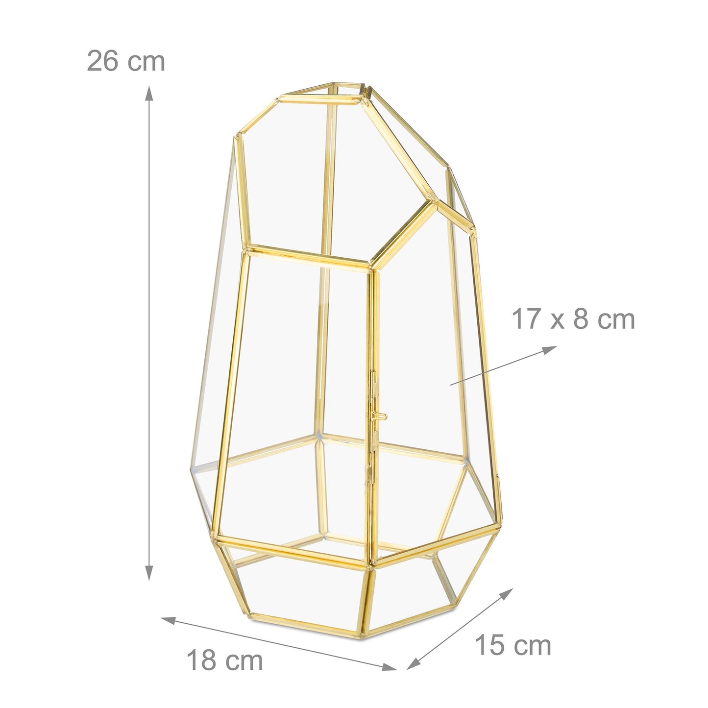 Geometric Glass Terrarium for Succulents & Air Plants